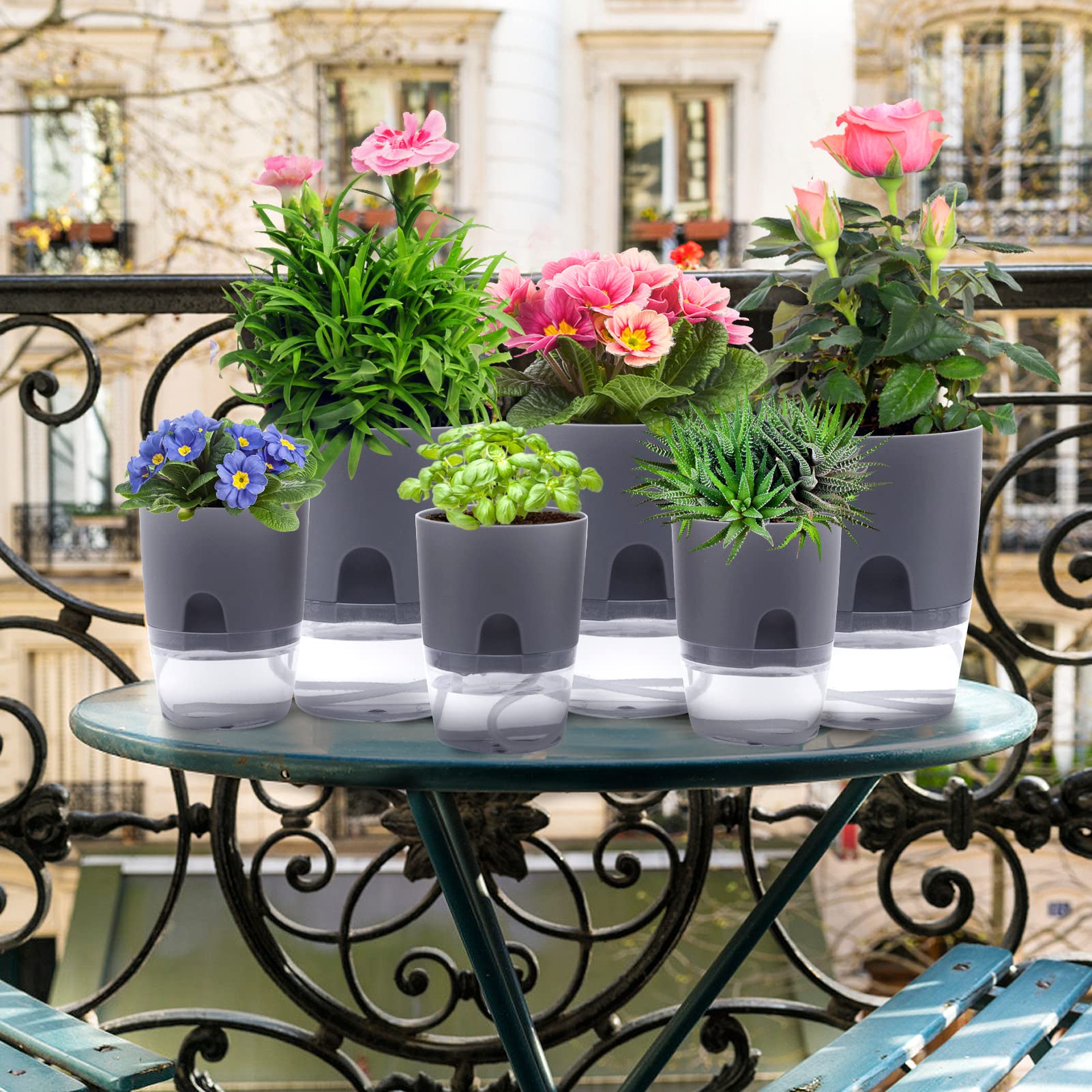 Aulock concave fill design makes water addition simple without spills.