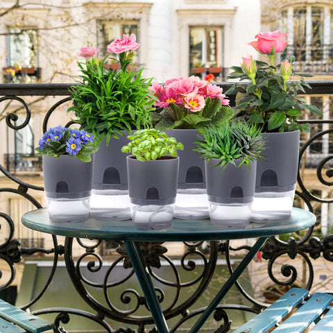 Aulock concave fill design makes water addition simple without spills.