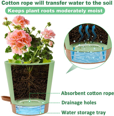 Aulock cotton rope transfers water efficiently to soil.