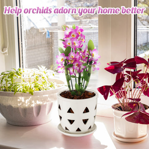 Aulock decorative white pot for orchids doubles as chic home decor.