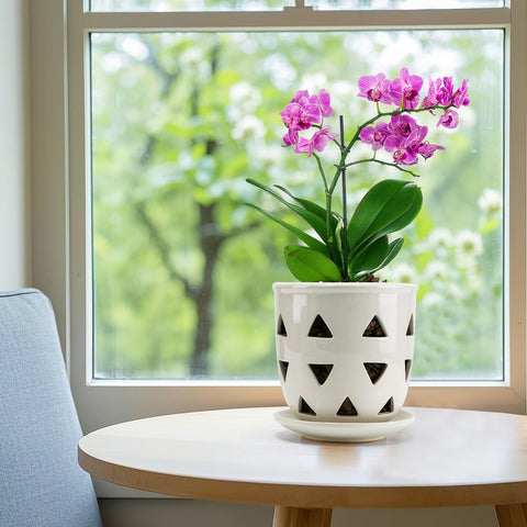 Aulock easy air flow drainage promotes healthy root respiration for orchids.