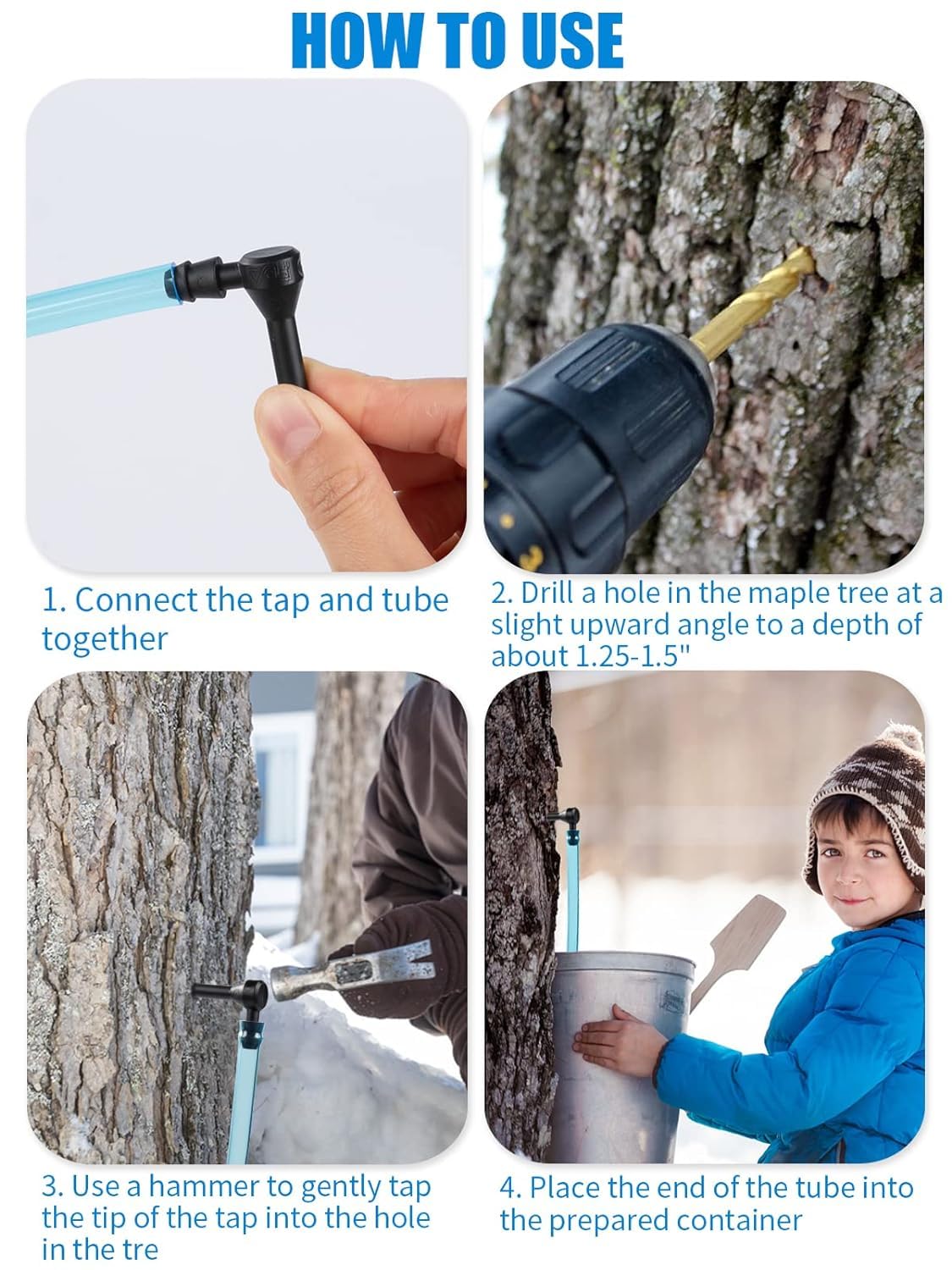 Aulock family maple gathering kit makes spring sap collecting fun