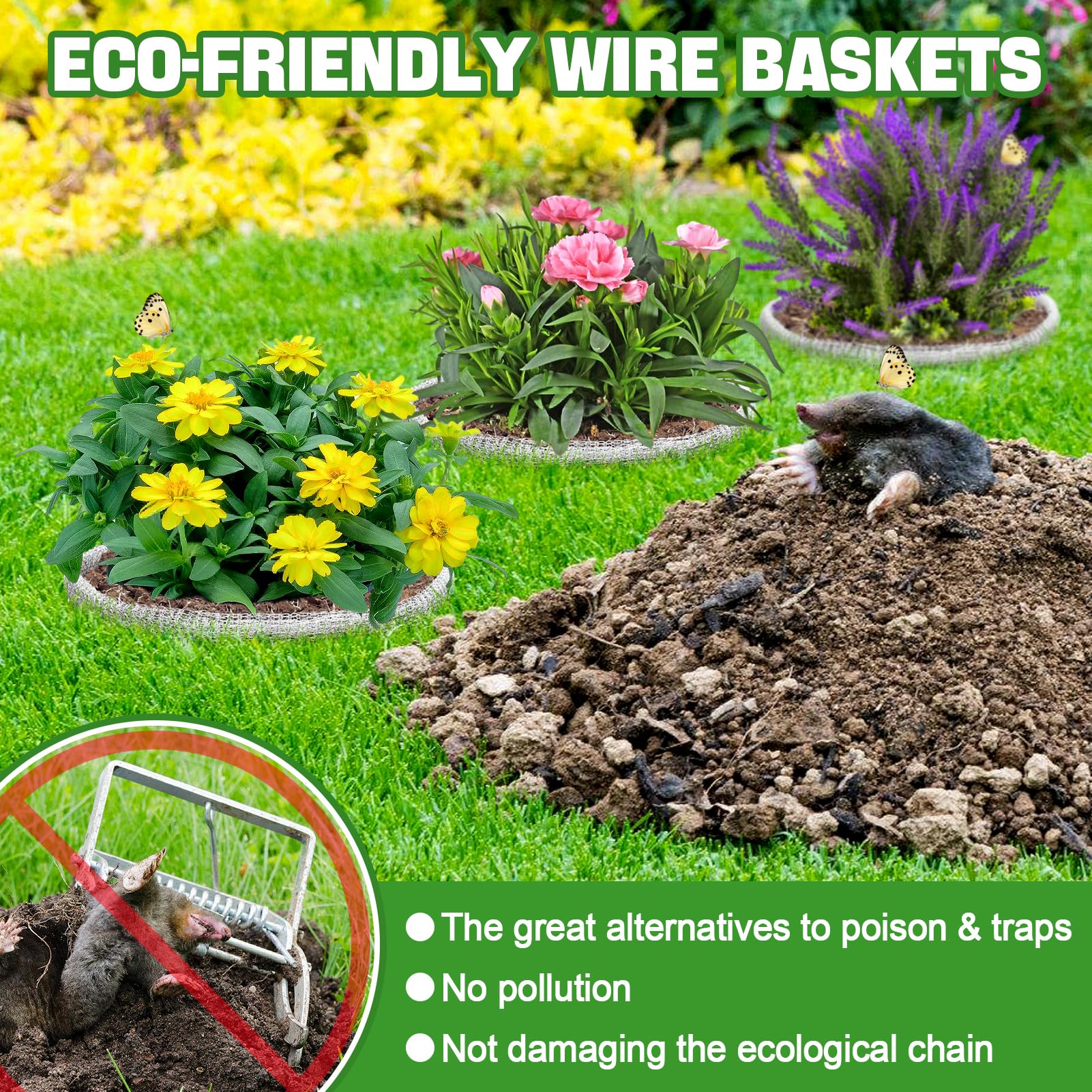 Aulock guard basket unfolded, ready for planting in a pot.