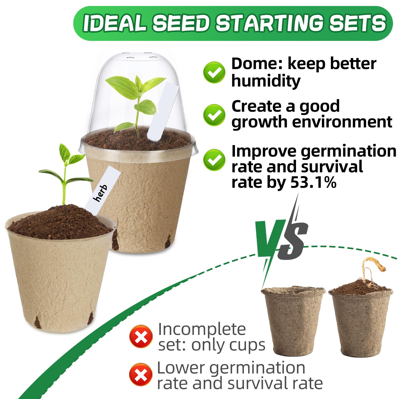 Aulock humidity dome over seed starter pots in bright light for moisture balance