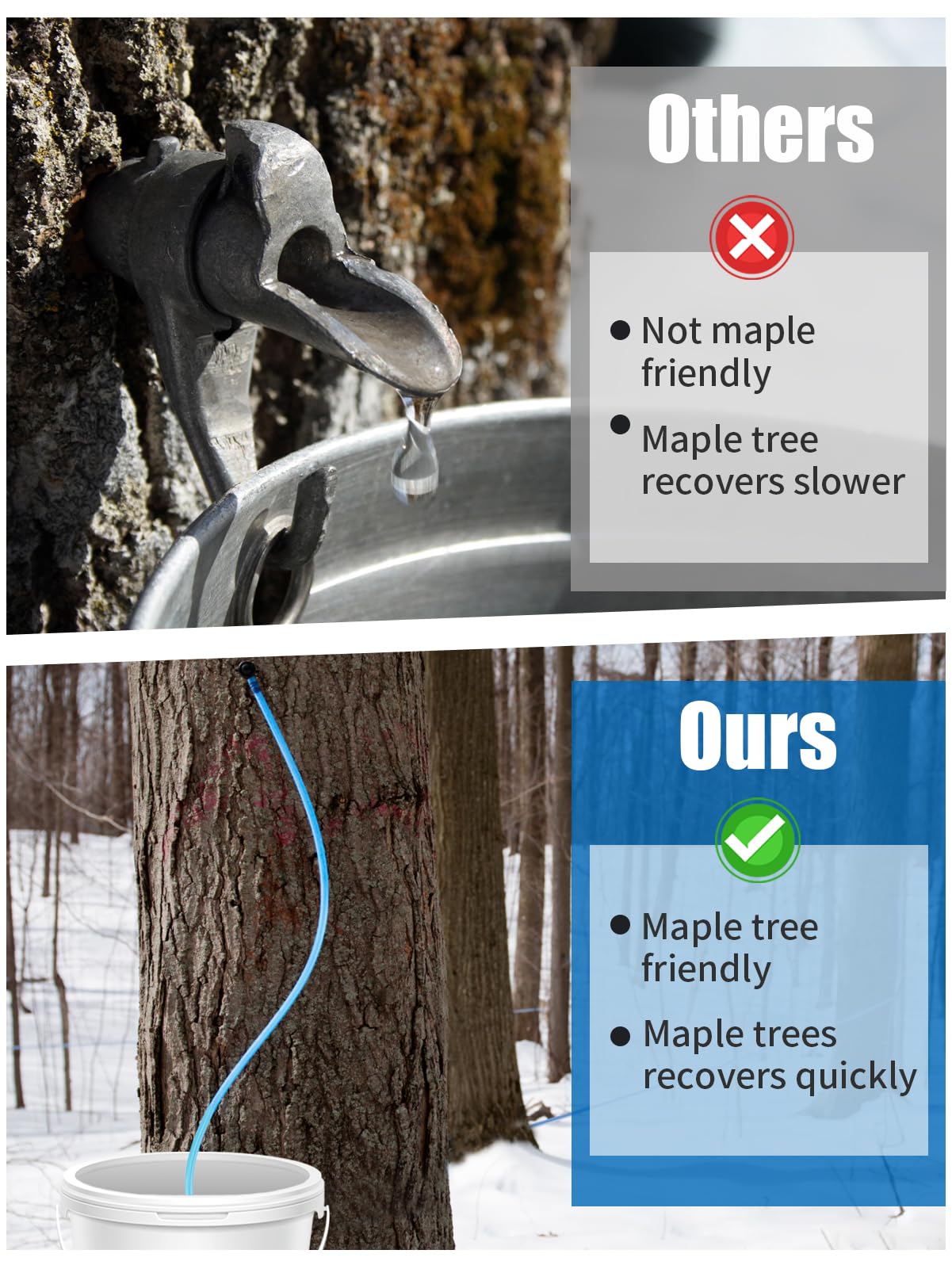 Aulock PP maple tap 5.8 cm minimizes tree damage