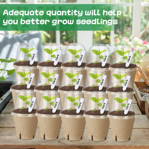 Aulock versatile seedling kit suitable for flowers, herbs, and vegetables