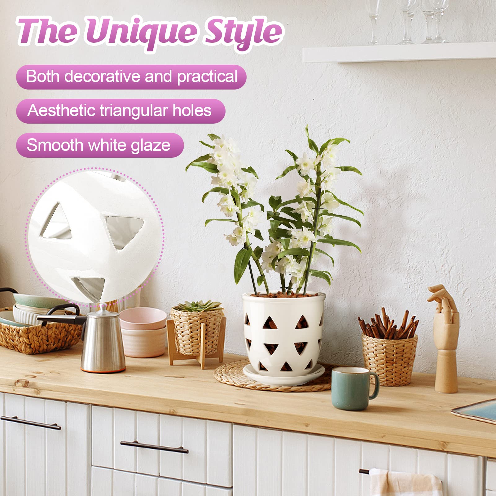 Aulock smooth white ceramic surface adds elegance to any orchid repotting project.