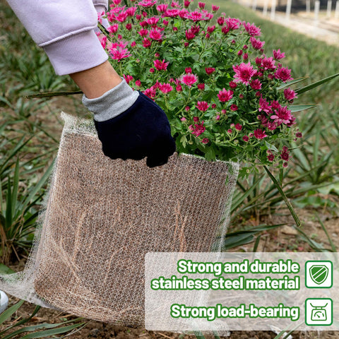 Aulock stainless steel guard basket keeps roots safe during transplanting.