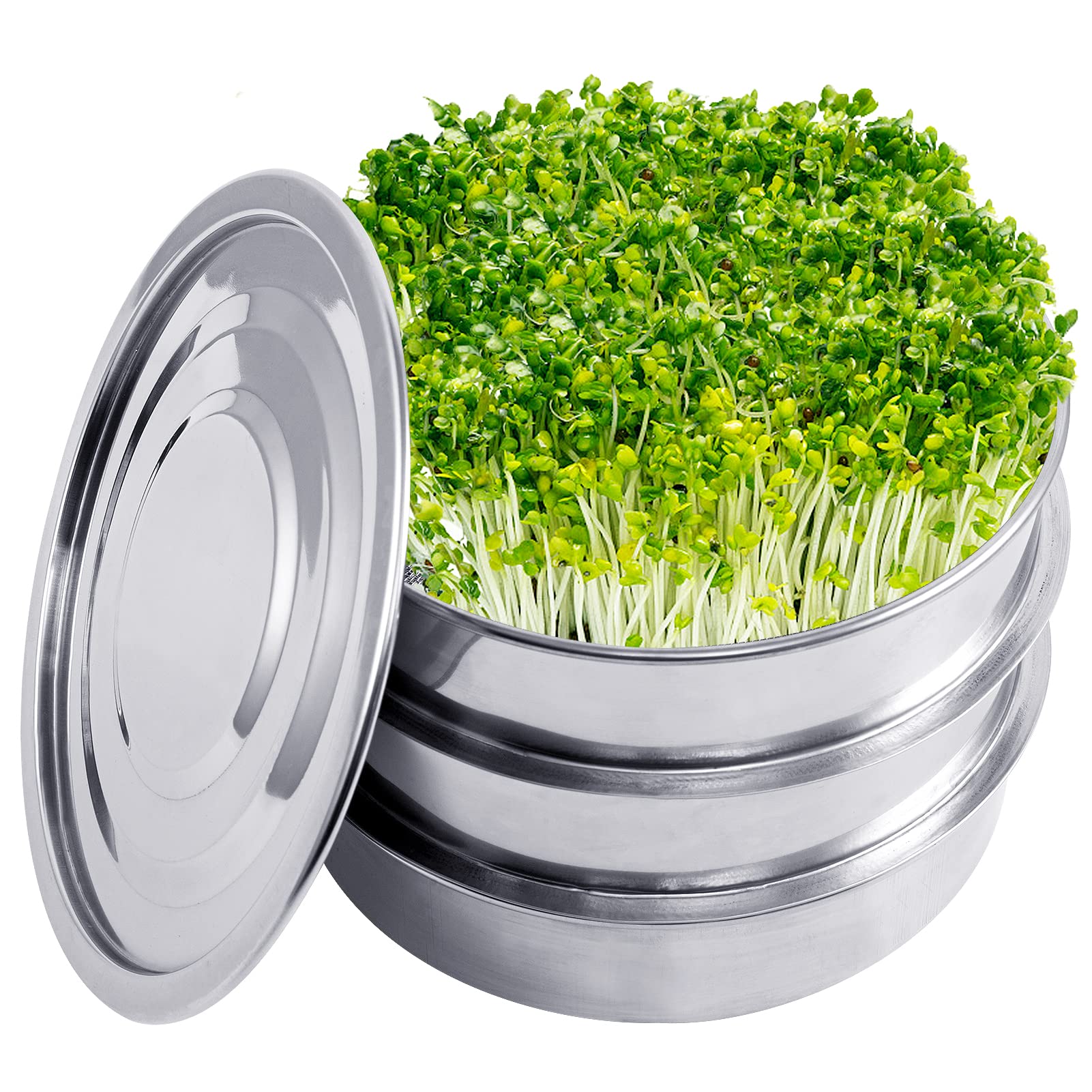 Aulock base showing durable stainless steel construction.