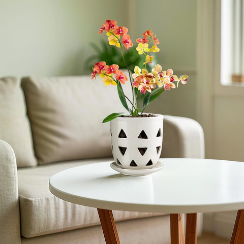 Aulock pot shows triangle drainage holes for unique design and better aeration around orchid roots.