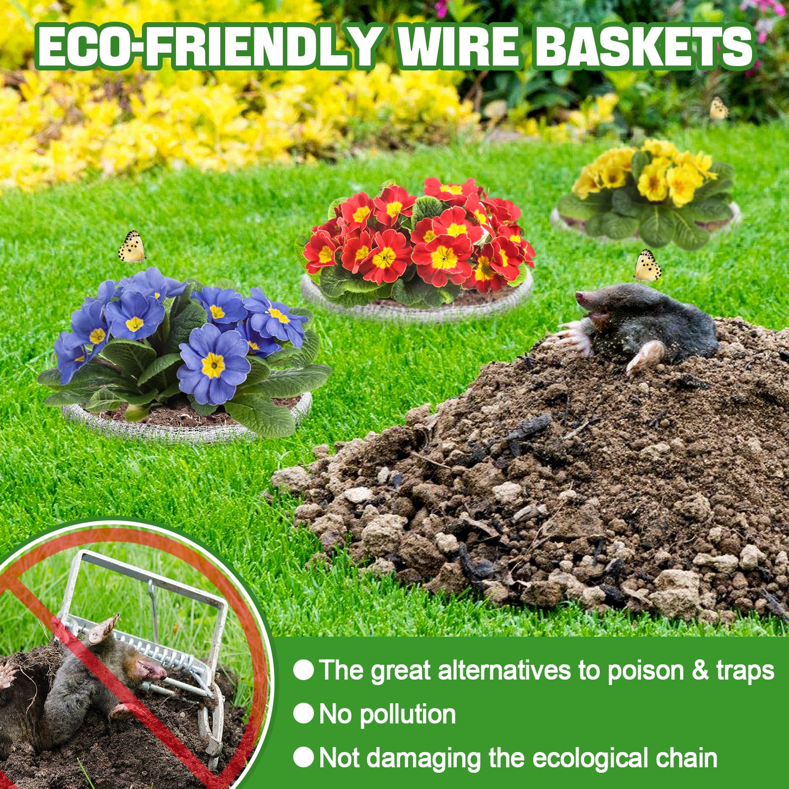 Aulock guard baskets unfolded for quick setup around plant roots
