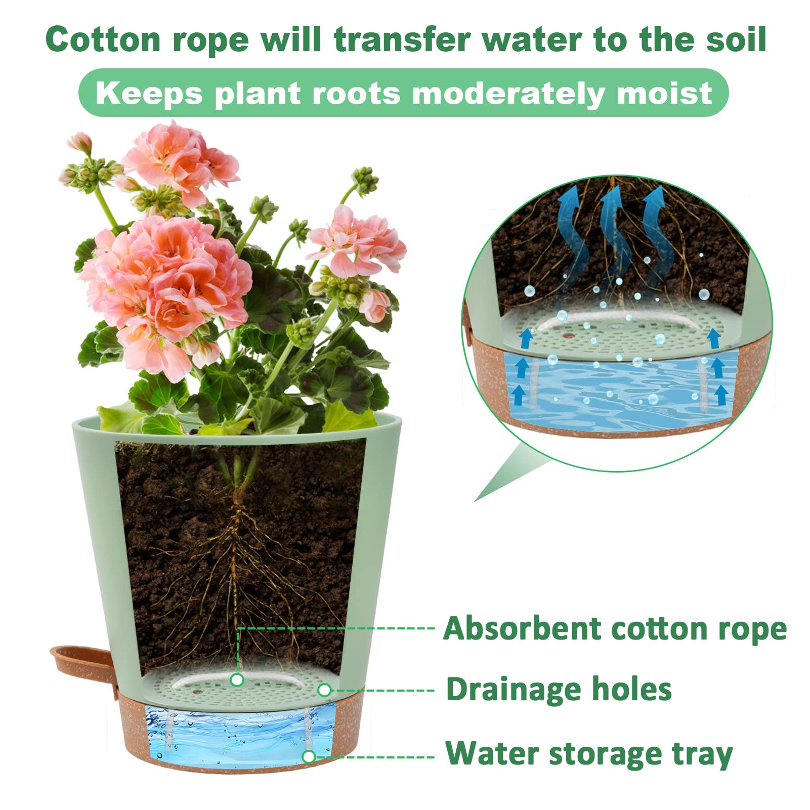Aulock water storage tray doubles as drainage reservoir for mess-free care.