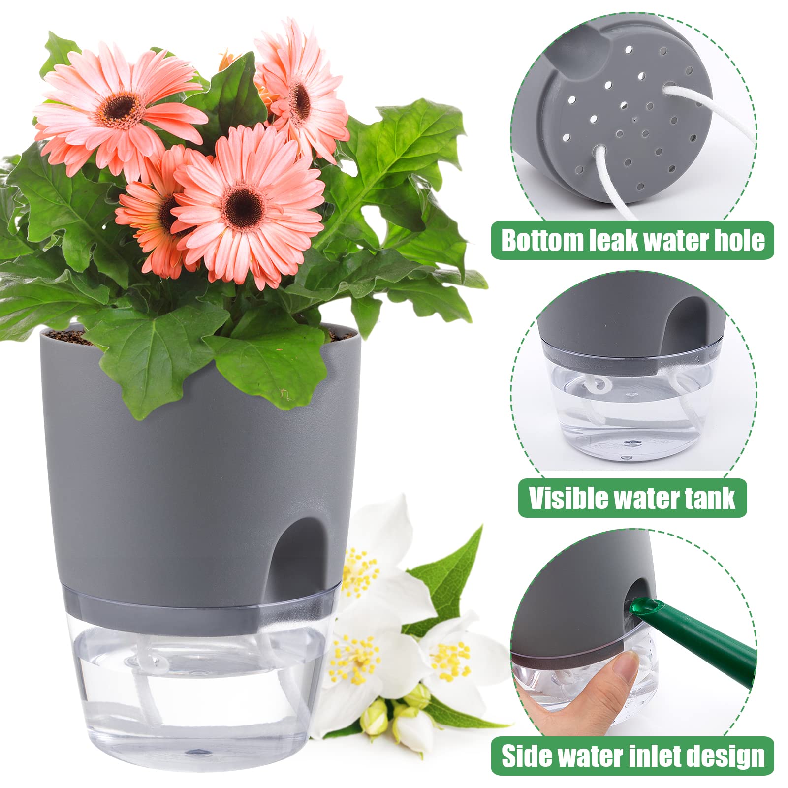 Aulock set arranged on a bright windowsill elevates home greenery.