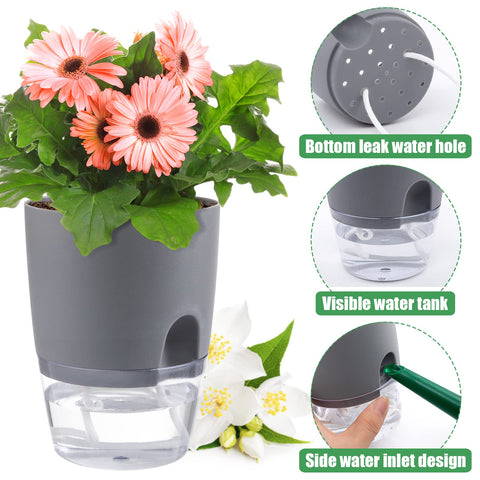 Aulock set arranged on a bright windowsill elevates home greenery.