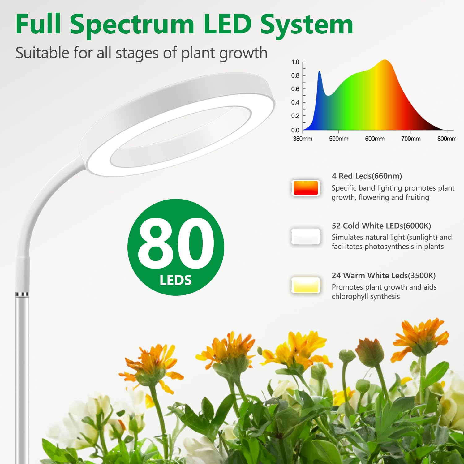 Tilt-head feature on Aumtrly light enables targeted light for leafy greens.