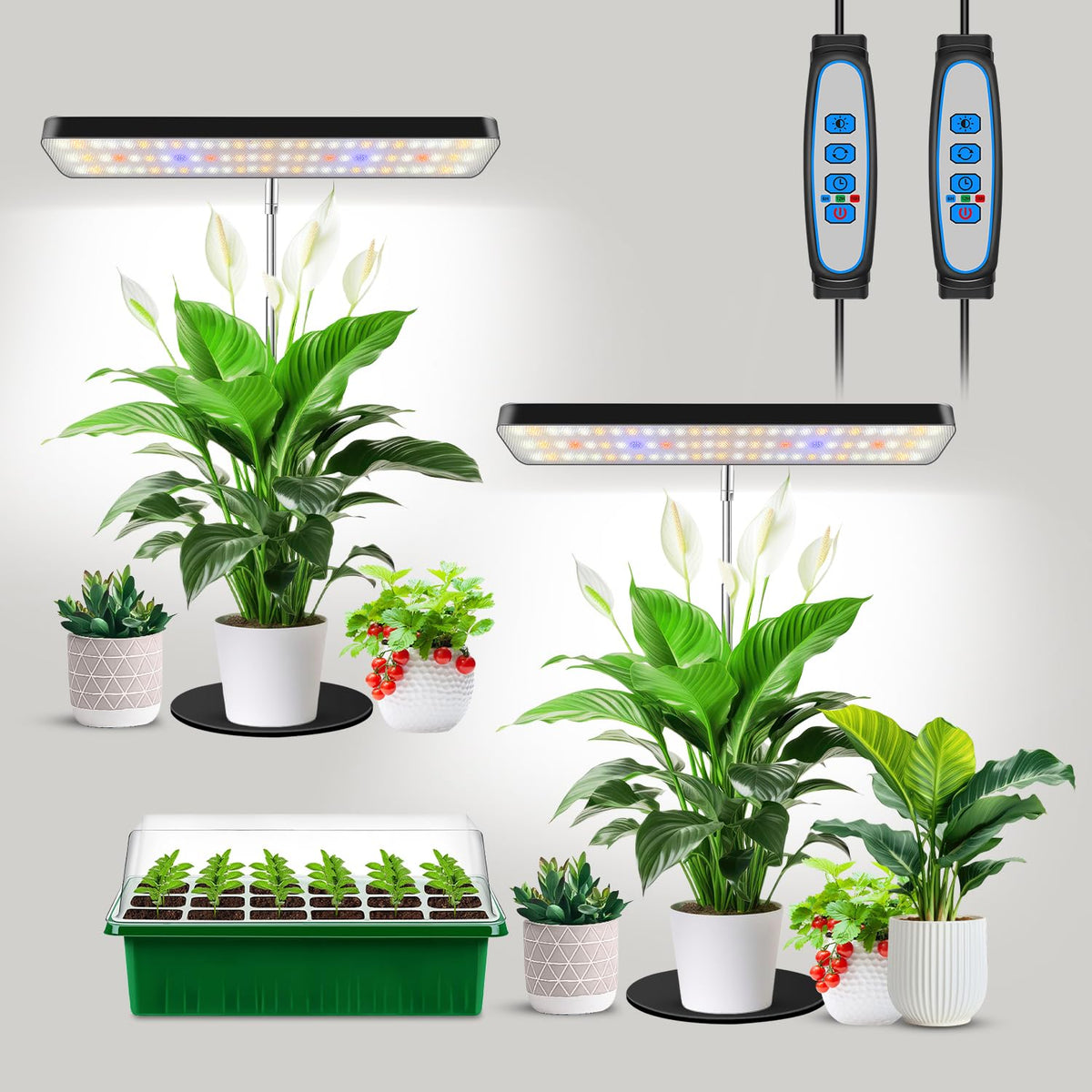 Aumtrly Grow Light desk-setup illuminates a seedling tray for healthier indoor growth.