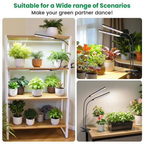 Aumtrly Grow Lights three-mode spectrum supports germination and flowering