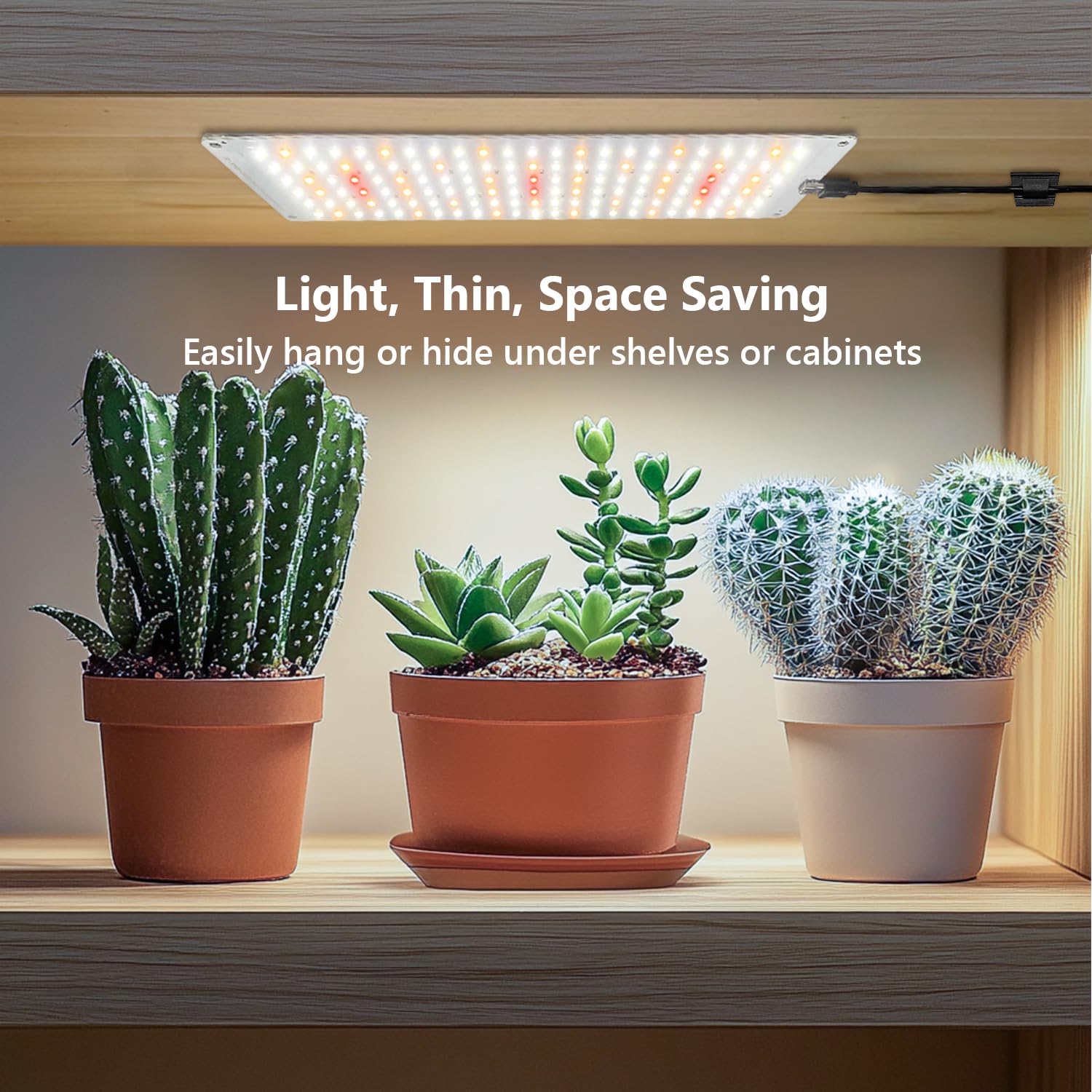 Aumtrly Grow Lights timer set to 16 hours for consistent cycles