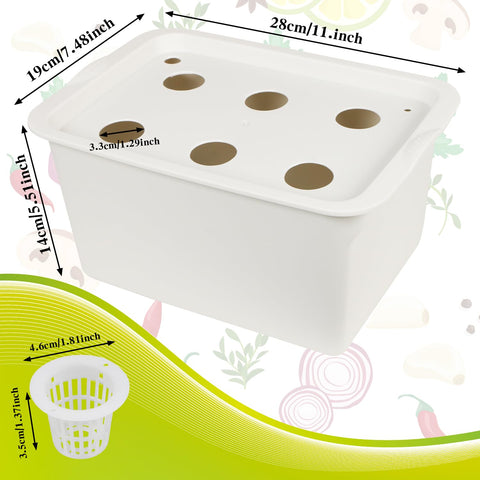 Aunifun hydroponics buoy demonstrates water flow and root support.