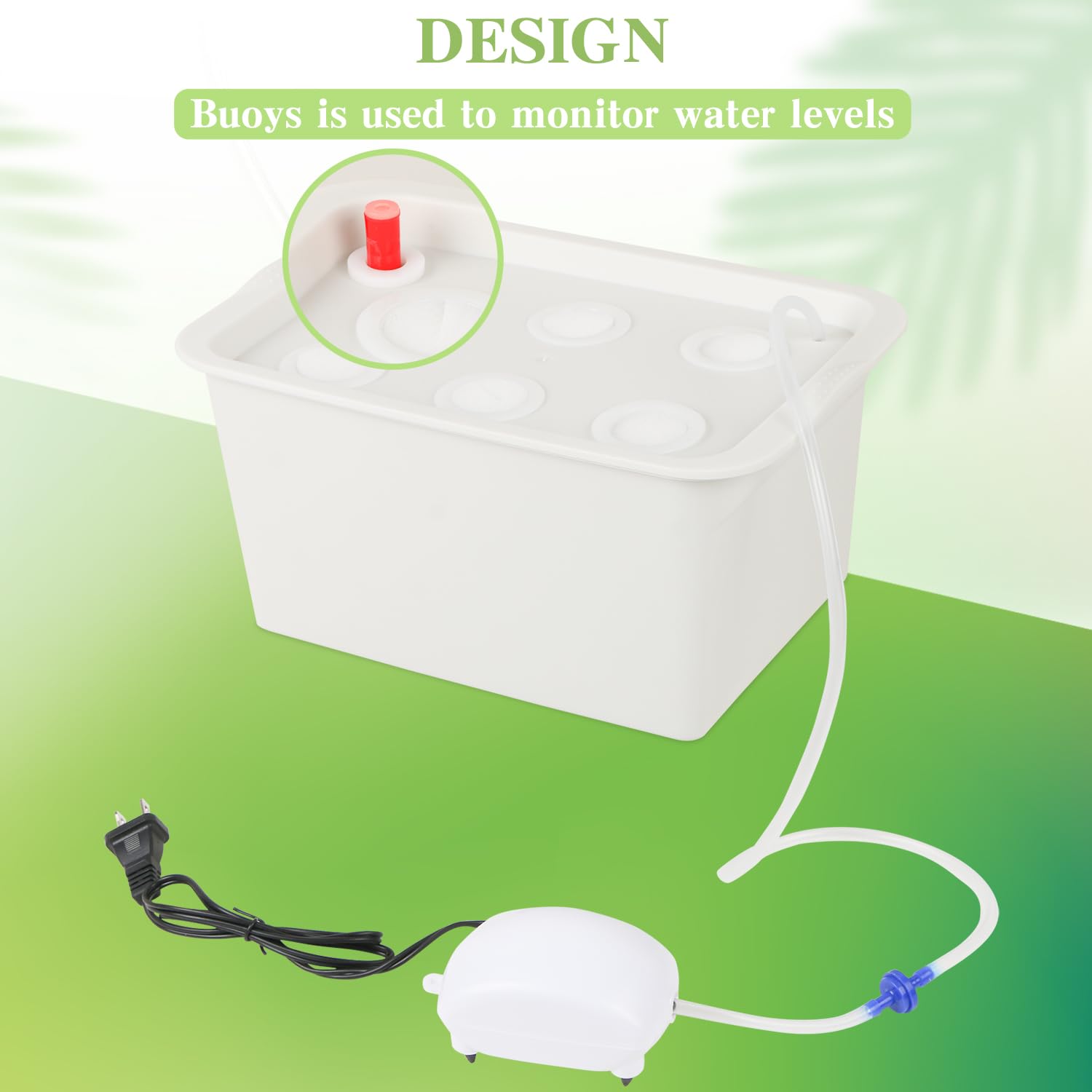 Aunifun planting sponges provide stable rooting media.