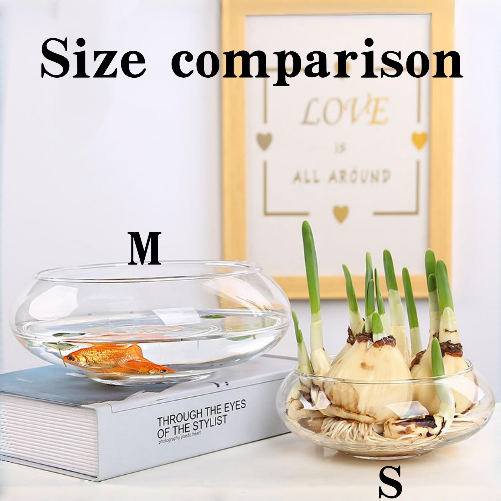 Indoor/outdoor use of the Aunosit lotus bowl ready for versatile placement