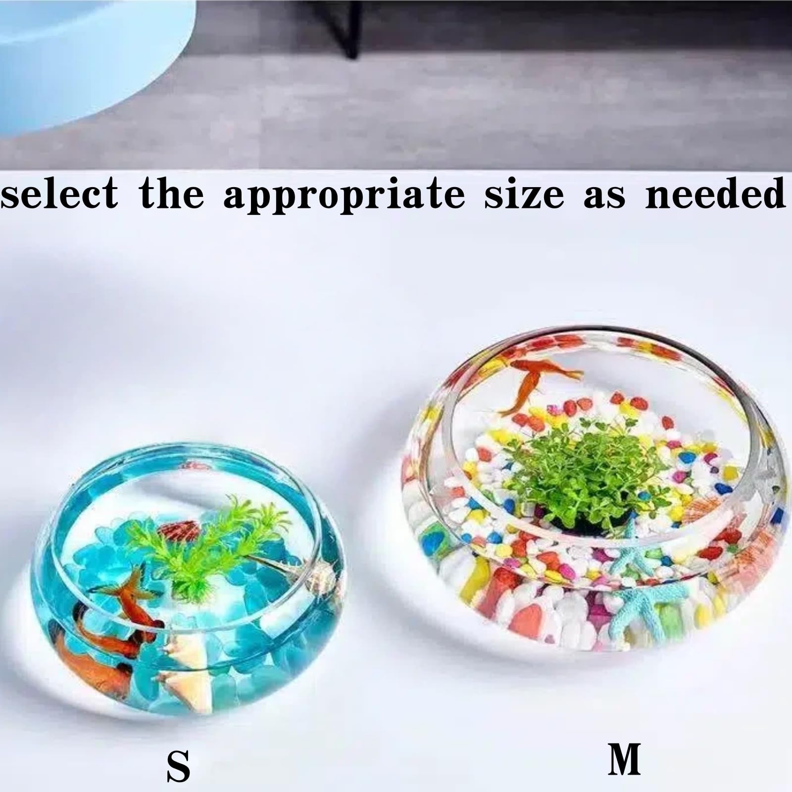 Aunosit succulent-water lotus bowl offering sculptural appeal for micro-gardens