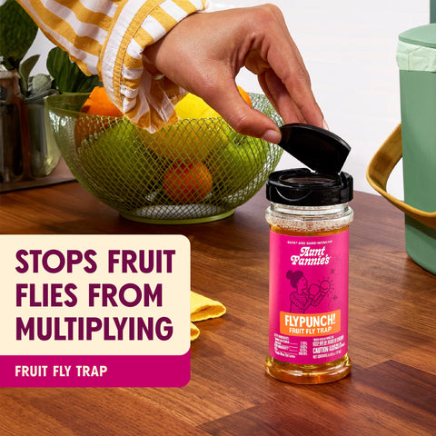 Aunt Fannie's FlyPunch trap in use with the flip-top lid open