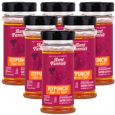 Aunt Fannie's FlyPunch bottle top ready for fast fruit fly control in the kitchen