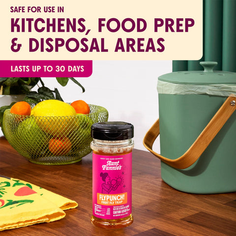 Aunt Fannie's FlyPunch label highlights plant-based ingredients for safe indoor use.