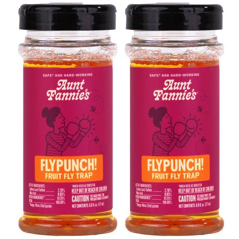 Aunt Fannie's FlyPunch! ready-to-use flip-top trap shown for quick setup