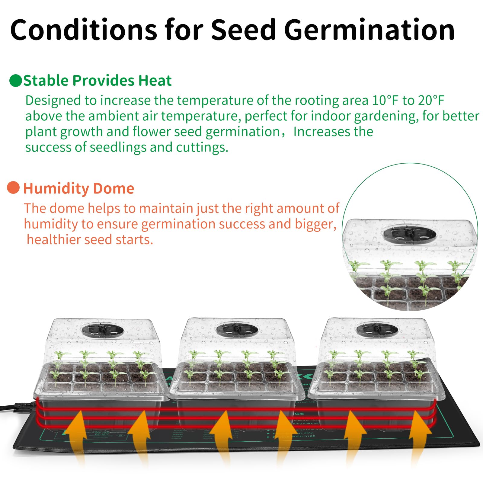 AUPETEK included garden tools streamline transplant prep.