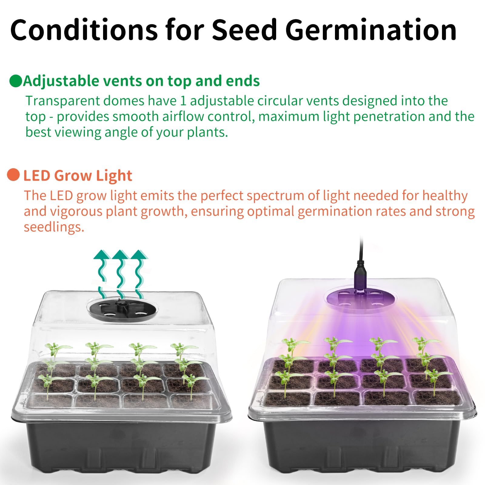 AUPETEK sixty-cell seed trays organize germination in a compact setup.