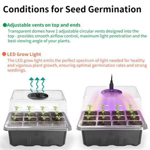 AUPETEK sixty-cell seed trays organize germination in a compact setup.