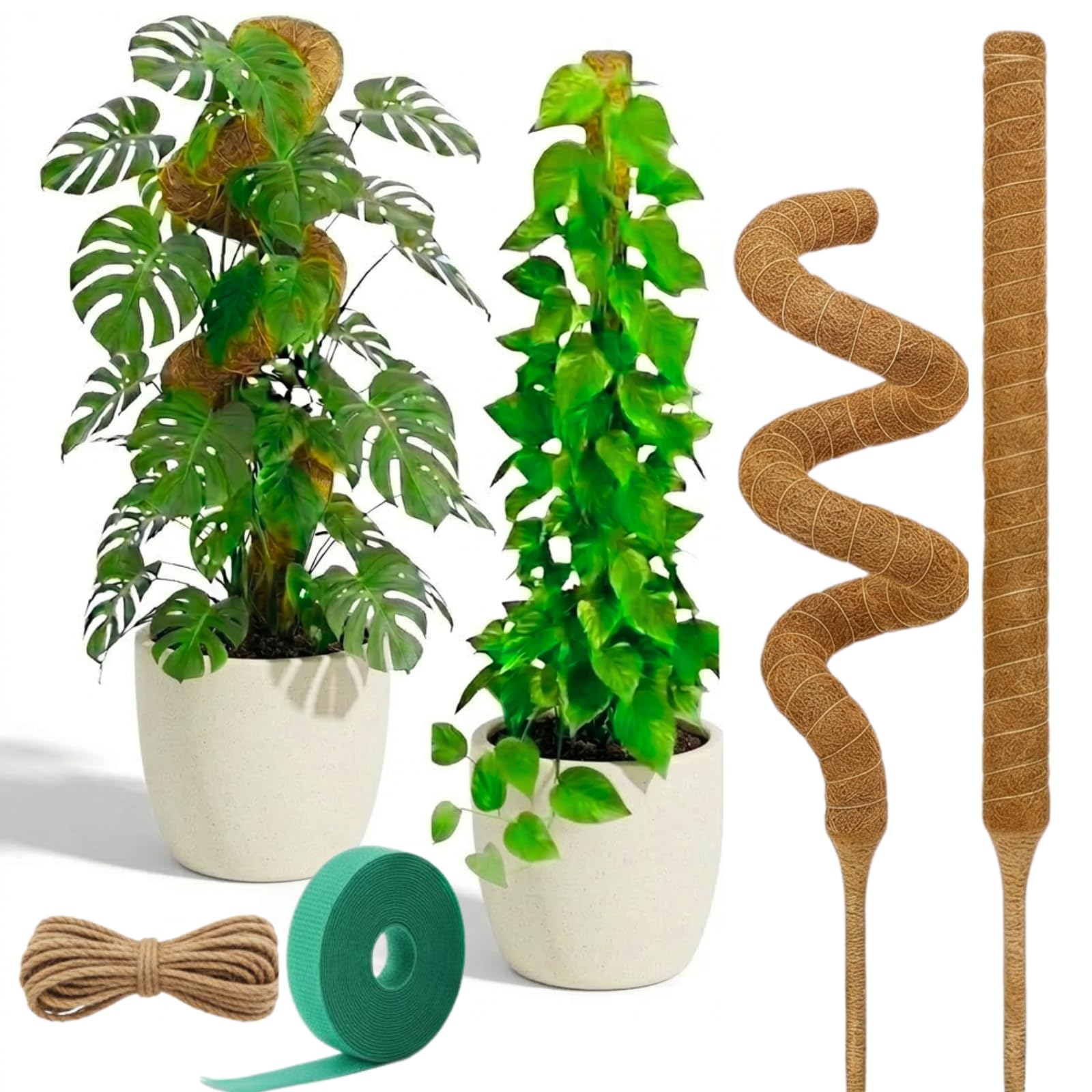 Auraville 28-inch bendable moss pole supporting a Monstera climber for healthy growth.