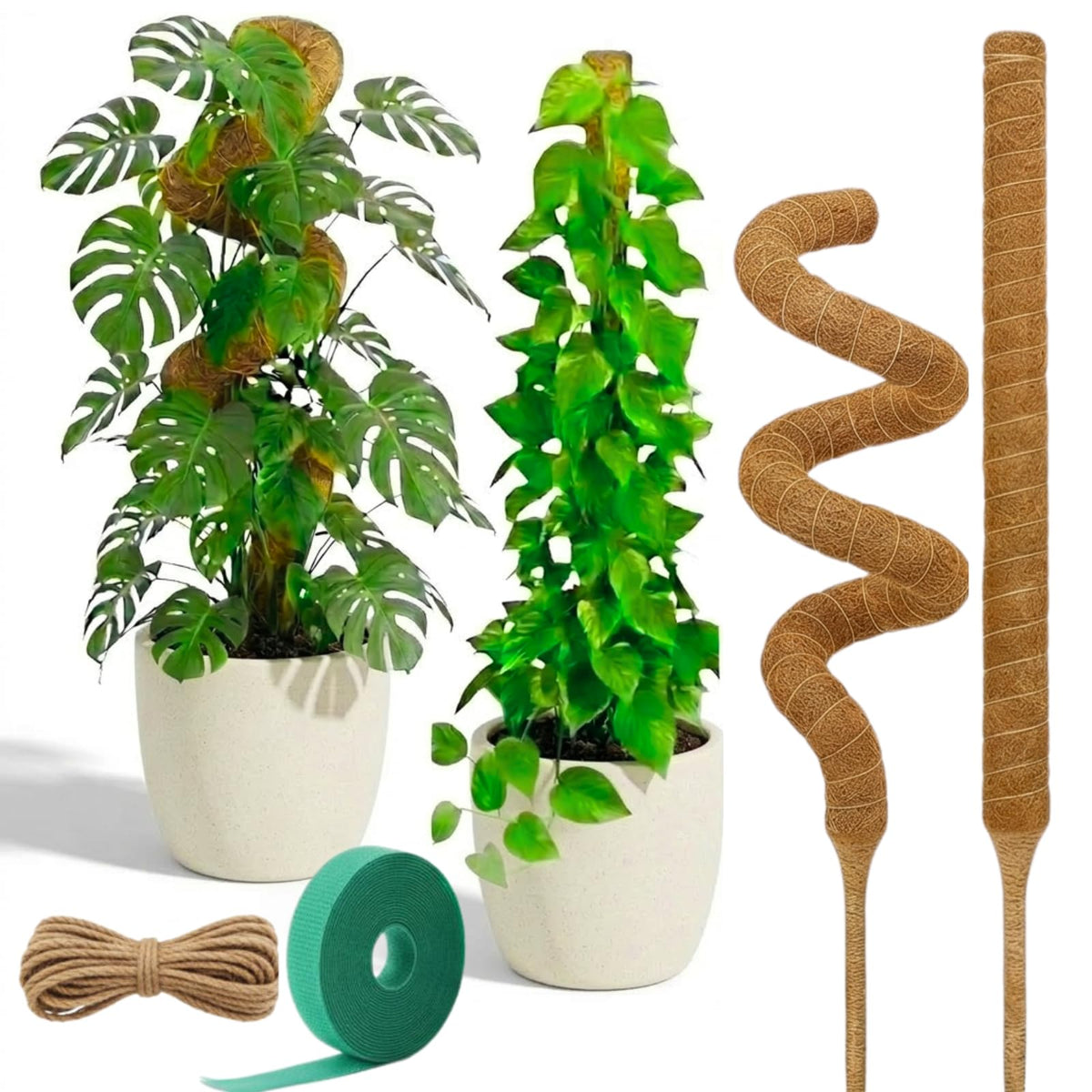 Auraville 28-inch bendable moss pole supporting a Monstera climber for healthy growth.