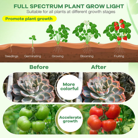 AURAZIGLI 10-level dimming adjusts brightness for different plant stages