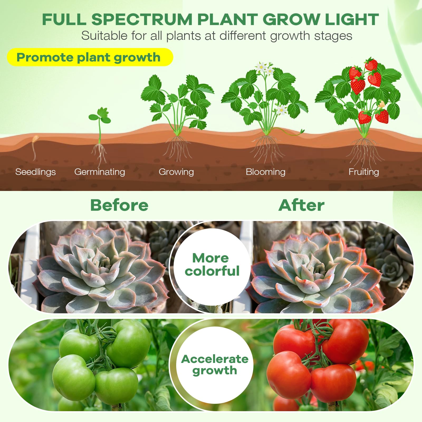 AURAZIGLI light in use over seedlings on a desk setup