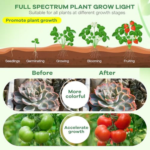 AURAZIGLI LED Grow Light shelf setup enabling flexible indoor lighting