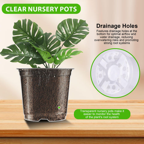 Auriikoop clear nursery pot 4-inch ideal for moisture monitoring