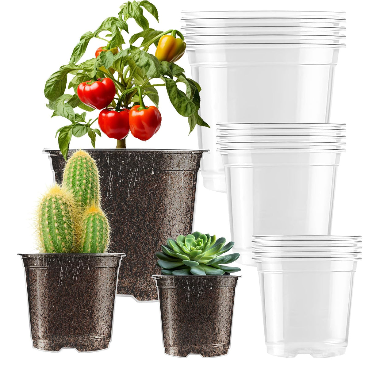 Auriikoop clear nursery pot 5-inch for easy root observation