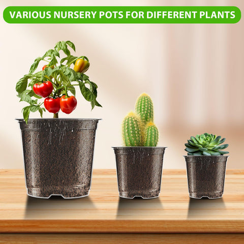 Auriikoop versatile nursery pot for homes, gardens, balconies, offices
