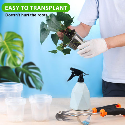 Auriikoop transparent root observation pot for seedlings and cuttings