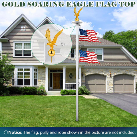 Aurolit Golden Eagle Topper closeup highlights majestic facial features