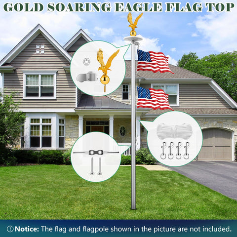 Detail of Aurolit Golden Eagle Topper highlighting wing details for premium display.