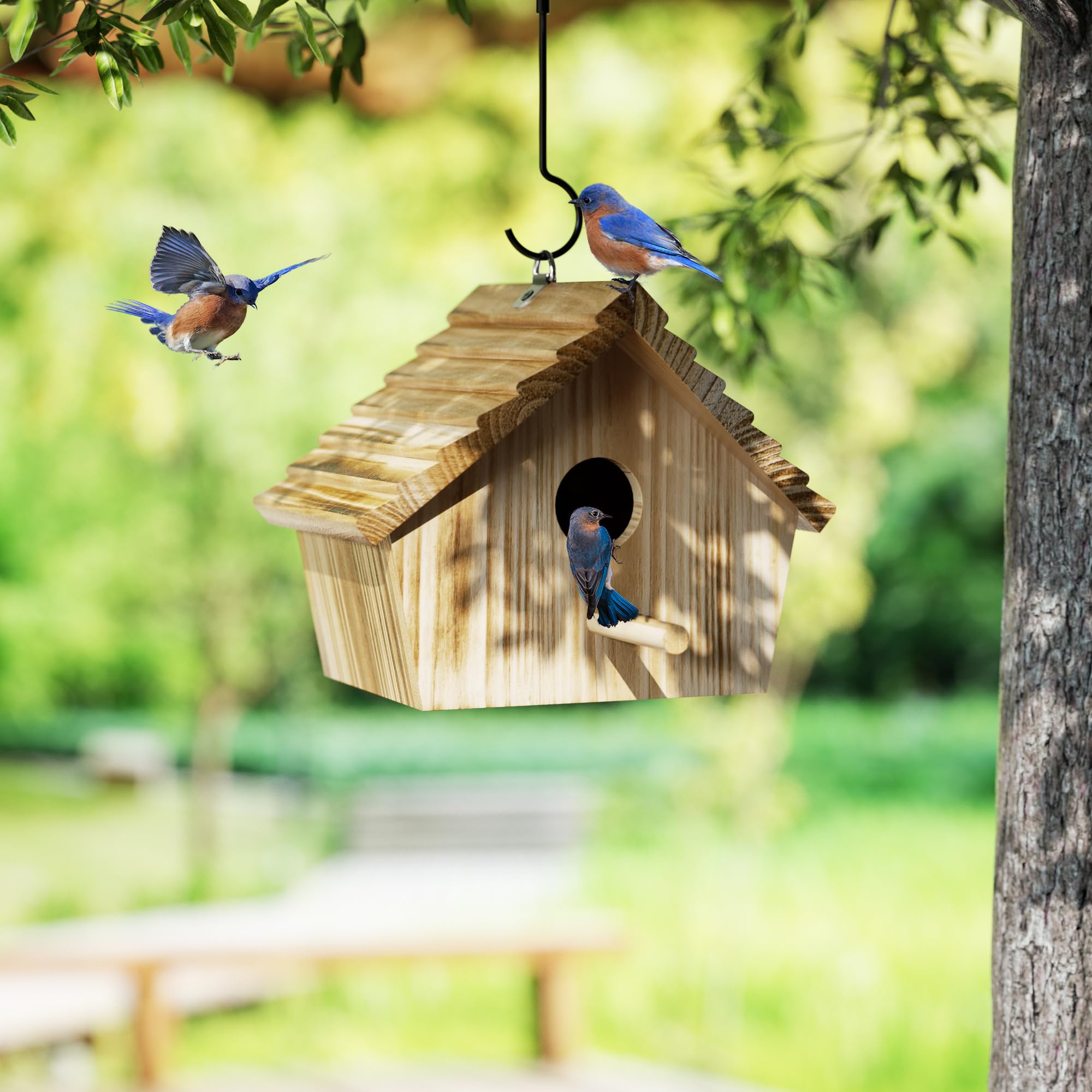 Auslar bird house entrance hole with small bird entry
