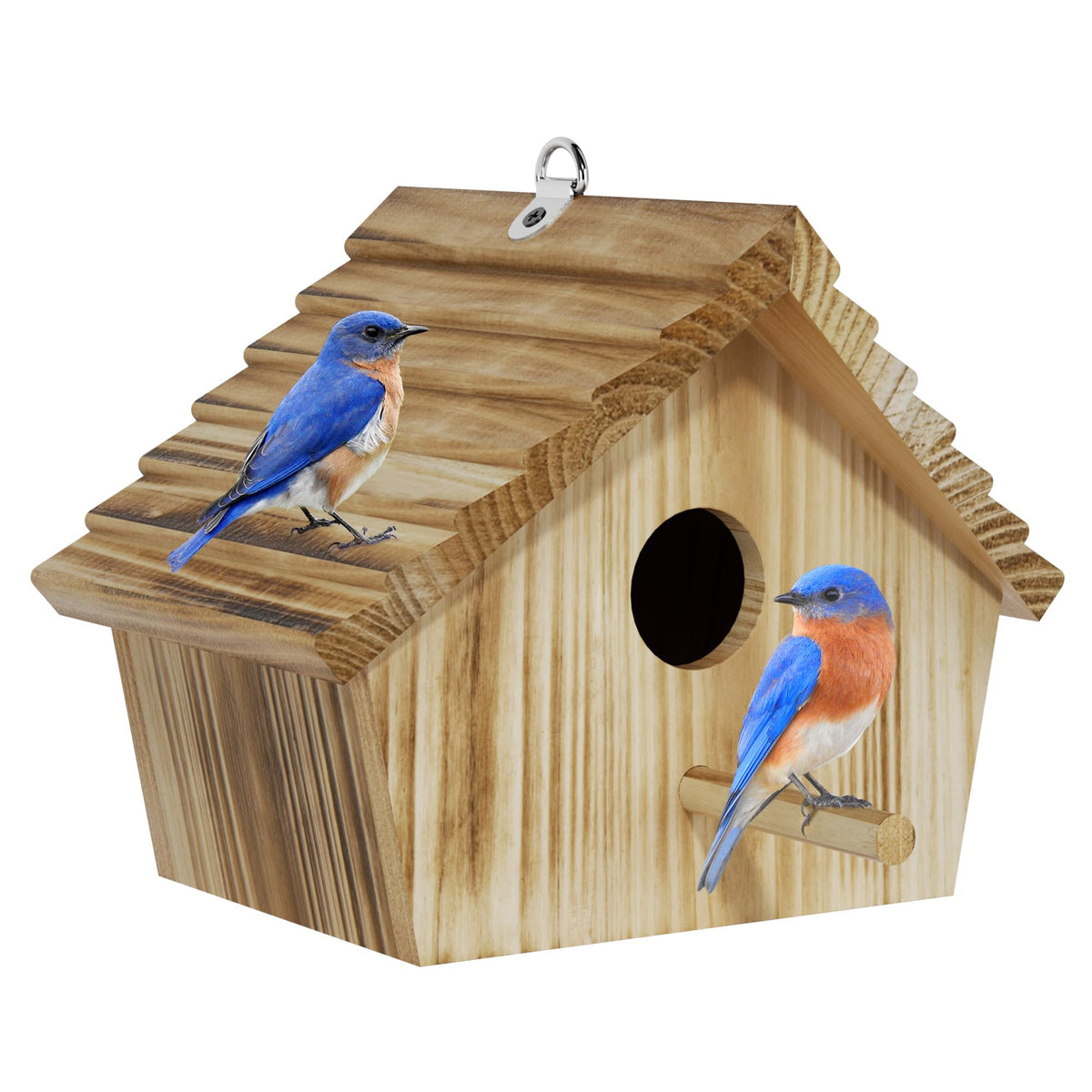 Auslar bird house front view showing cedar exterior for outdoor viewing