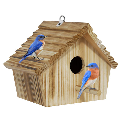 Auslar bird house front view showing cedar exterior for outdoor viewing