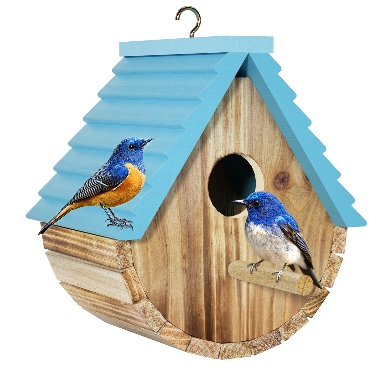 Auslar bird house outdoor hanging bluebird — ideal garden viewing.