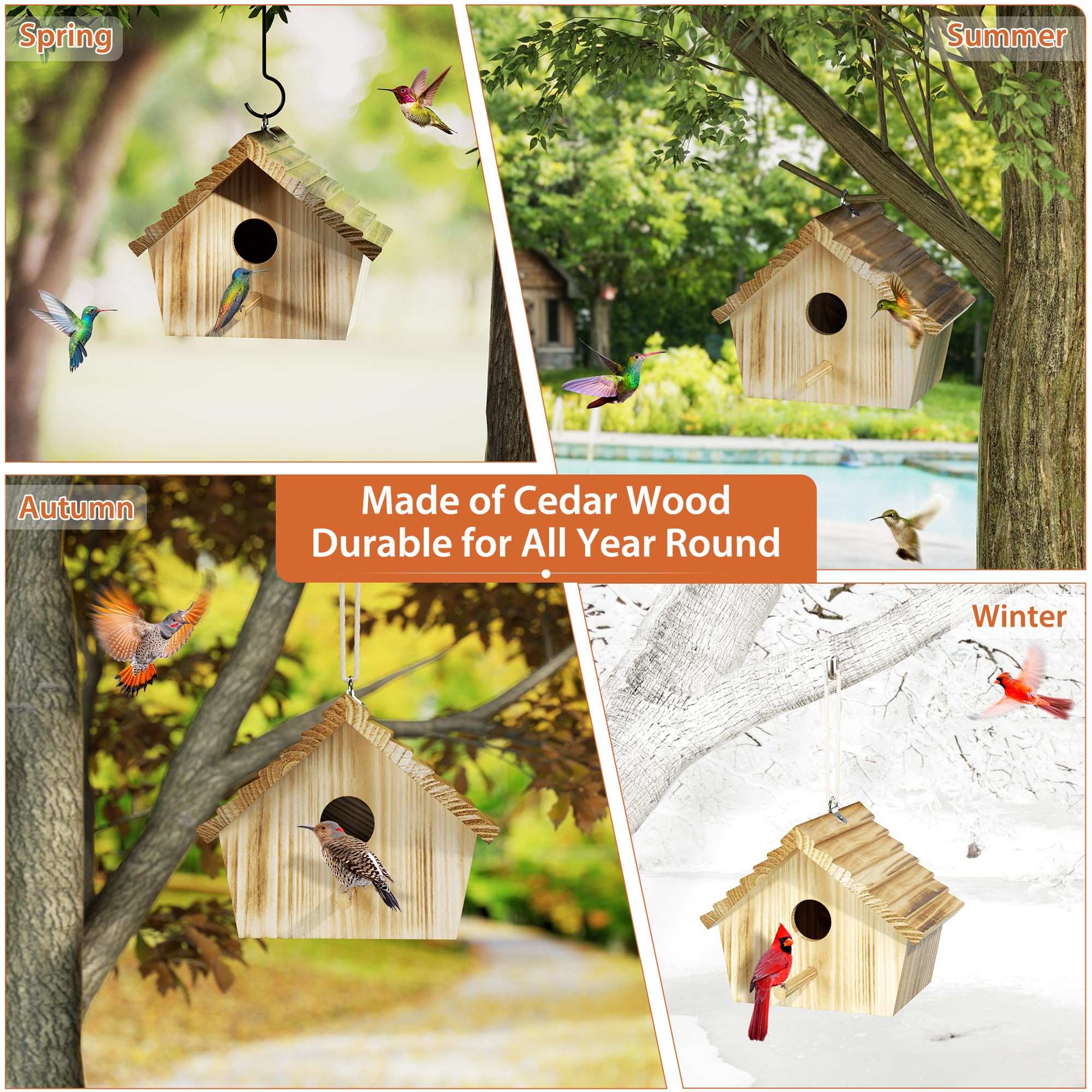 Auslar bird house size layout demonstrating interior space