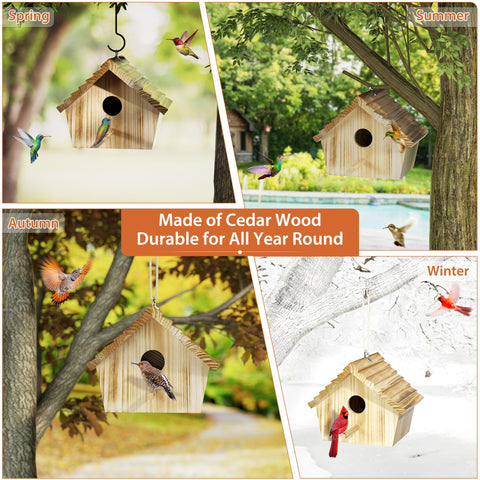 Auslar bird house size layout demonstrating interior space